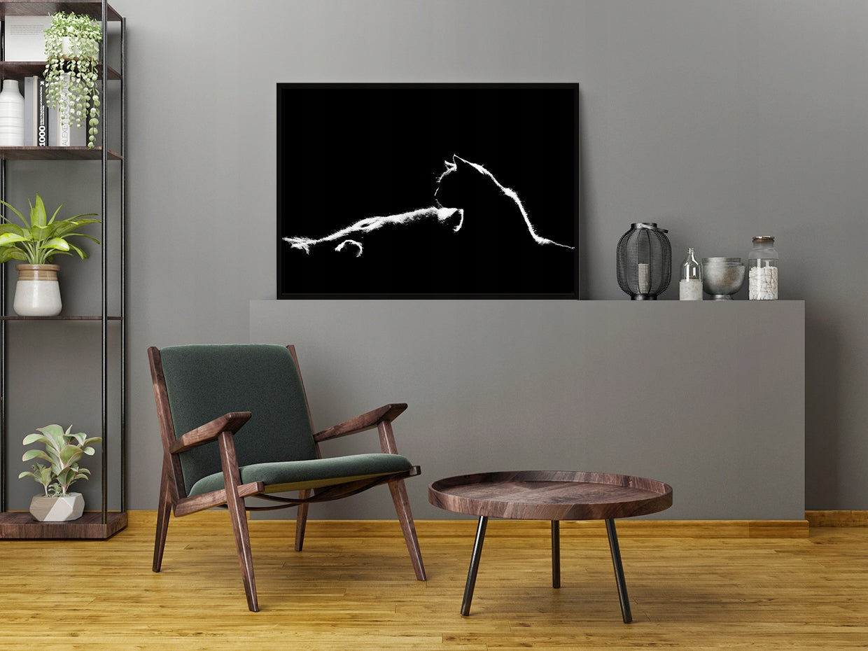 Plakat Kot 53x73 cm ForWalls.eu
