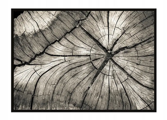 Plakat Drewno 53x73 cm - ForWalls.eu