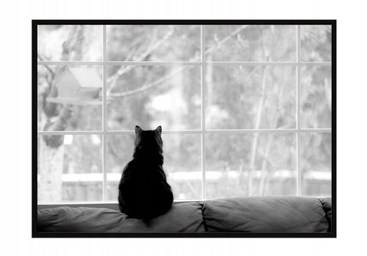 Plakat Kot 33x43 cm ForWalls.eu