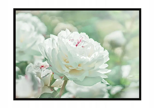 Plakat Kwiaty 53x73 cm ForWalls.eu