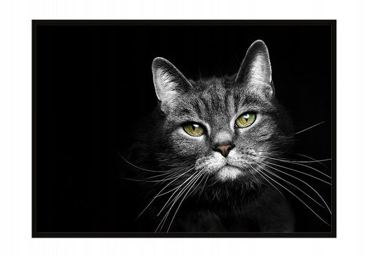 Plakat Kot 33x43 cm ForWalls.eu