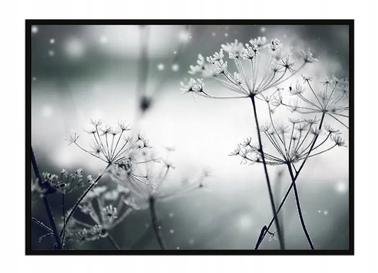 Plakat Dmuchawce 53x73 cm ForWalls.eu
