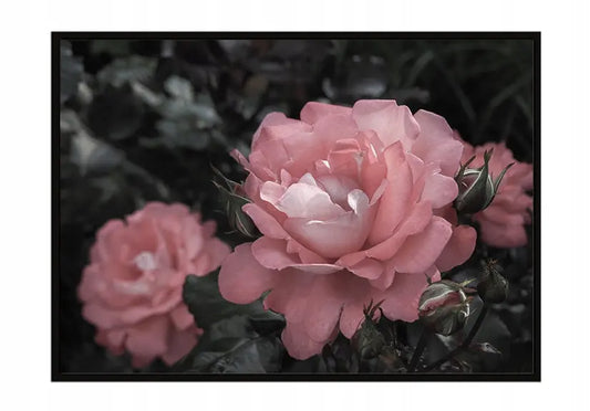 Plakat Kwiaty 53x73 cm ForWalls.eu