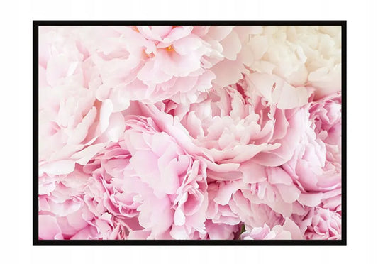 Plakat Kwiaty 53x73 cm ForWalls.eu