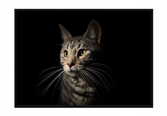 Plakat Kot 33x43 cm ForWalls.eu