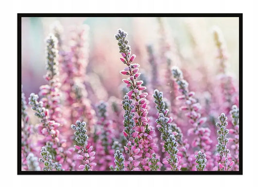 Plakat Łąka 53x73 cm ForWalls.eu