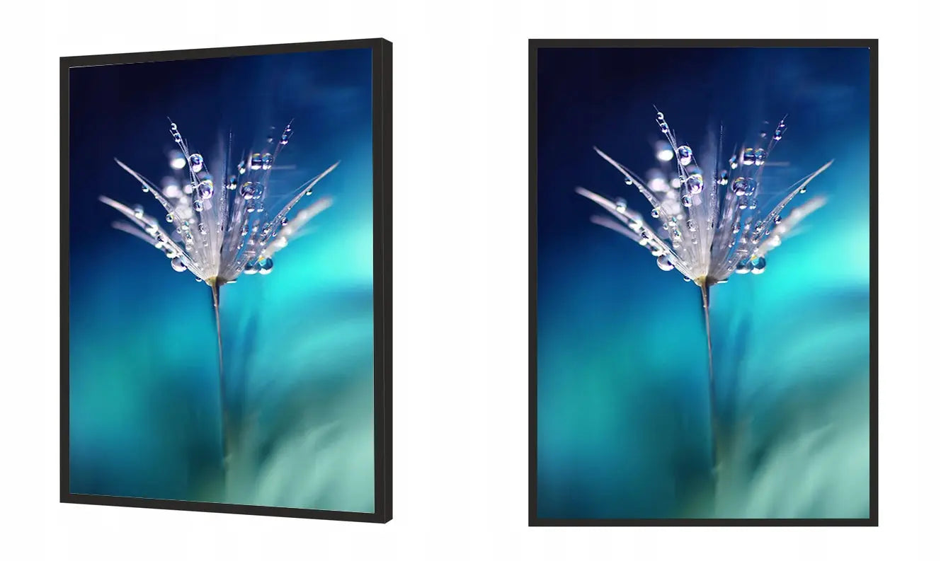 Plakat Rosa 53x73 cm - ForWalls.eu