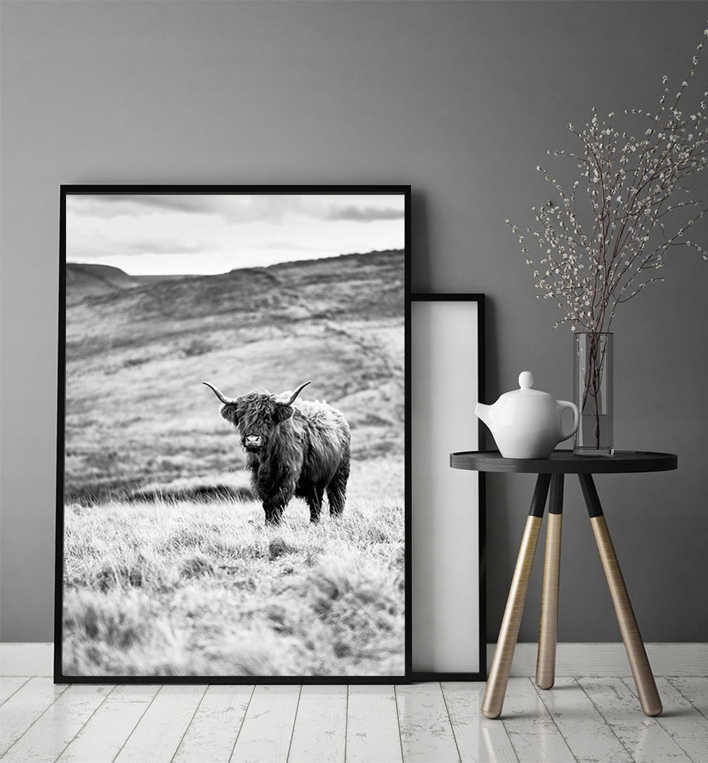 Plakat Krowa Highlander 33x43 cm ForWalls.eu