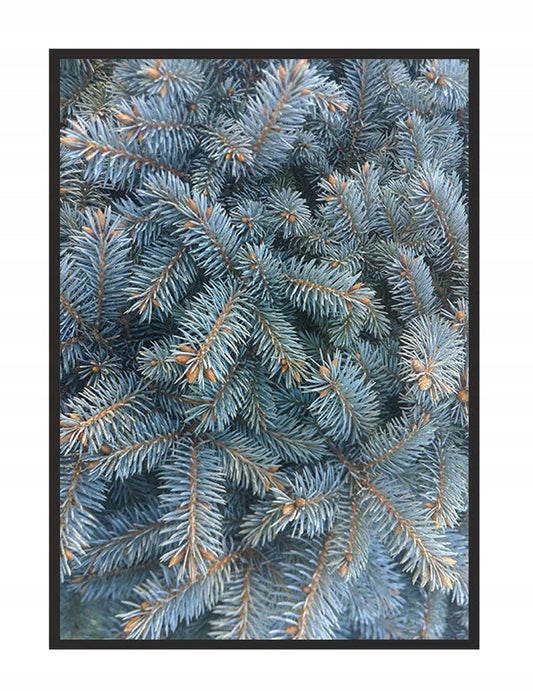 Plakat Choinka 33x43 cm ForWalls.eu