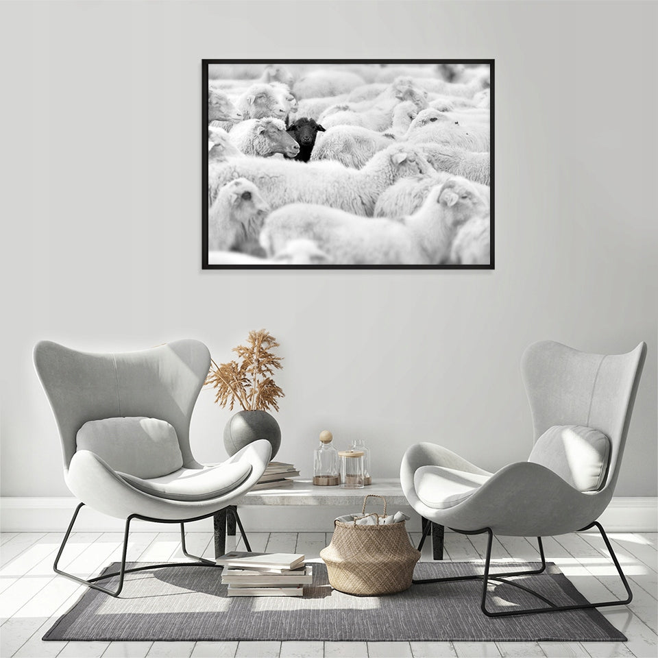 Plakat Owce 33x43 cm ForWalls.eu