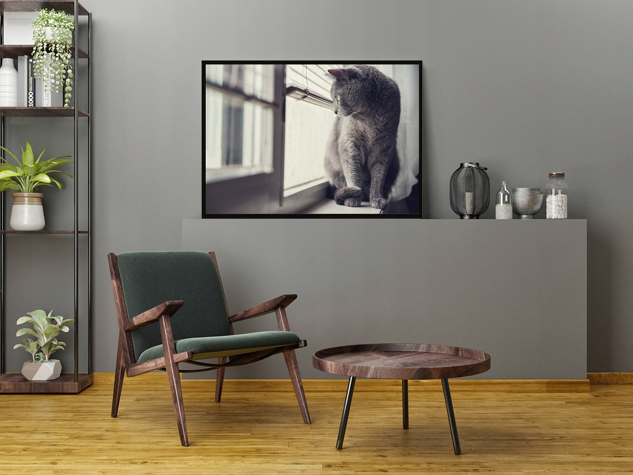 Plakat Kot 33x43 cm ForWalls.eu
