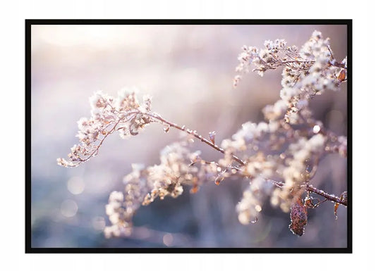 Plakat Gałązka 53x73 cm ForWalls.eu