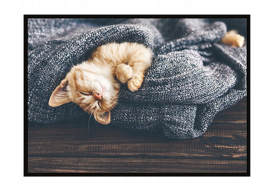 Plakat Kot 33x43 cm ForWalls.eu