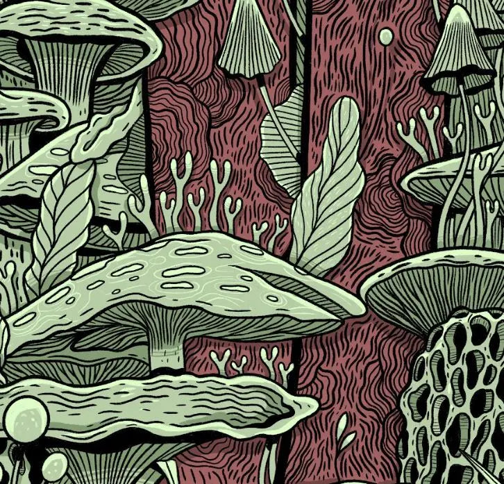 ForWalls.eu - Plakat Grzyby - Detailed illustration of various green mushrooms and fungi on a textured dark red background with intricate line patterns. - Luiza Kwiatkowska, plakat, print