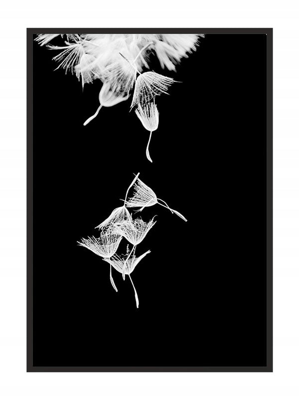 Plakat Dmuchawce 33x43 cm  ForWalls.eu