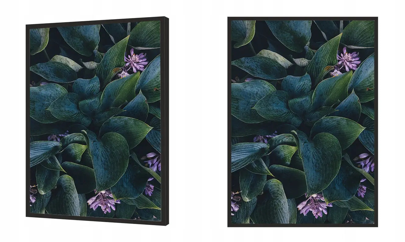 Plakat Liście 53x73 cm  ForWalls.eu