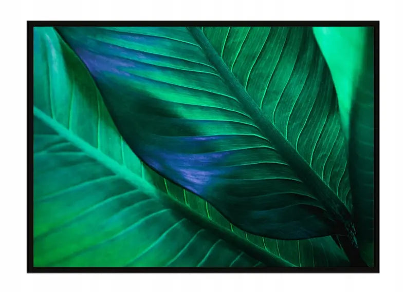 Plakat Liście 53x73 cm  ForWalls.eu