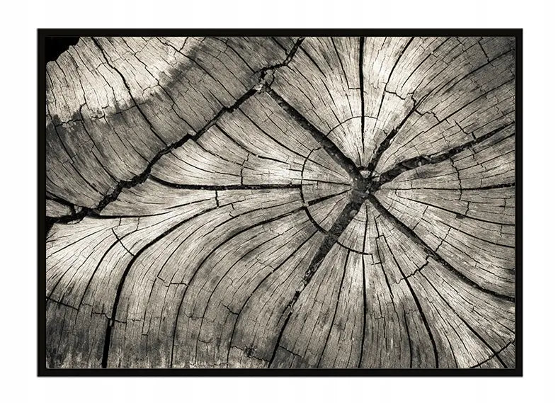 Plakat Drewno 53x73 cm - ForWalls.eu