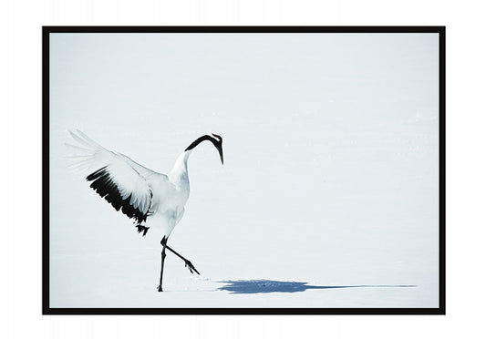 Plakat Ptak 33x43 cm  ForWalls.eu