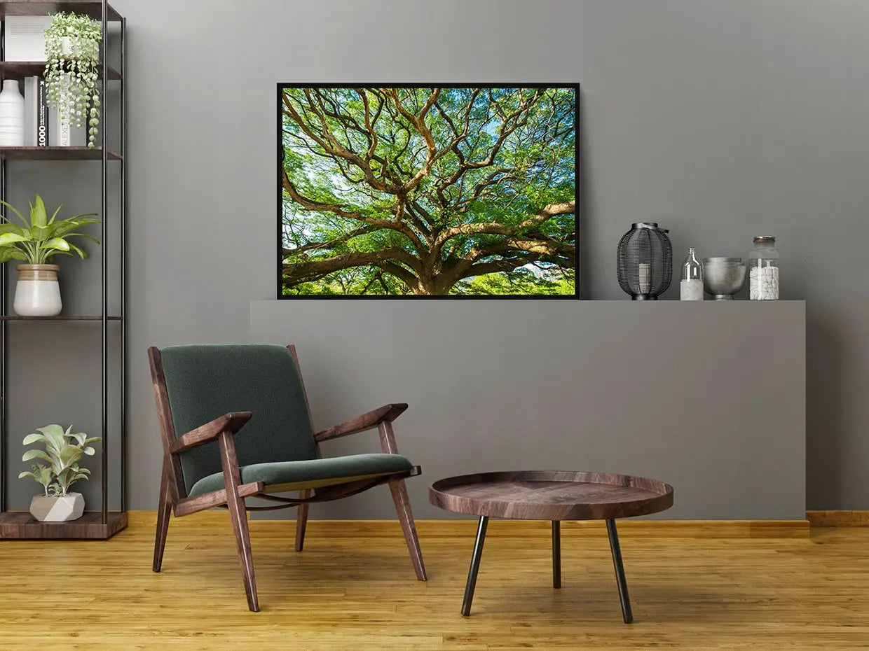 Plakat Drzewo 53x73 cm - ForWalls.eu