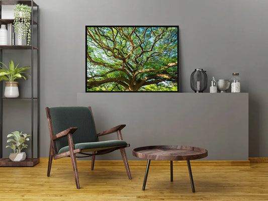 Plakat Drzewo 53x73 cm - ForWalls.eu