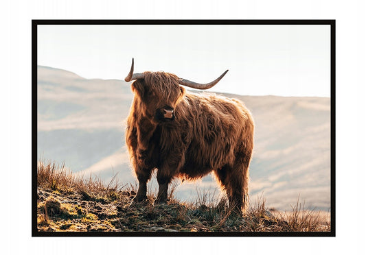 Plakat Highlander 33x43 cm  ForWalls.eu