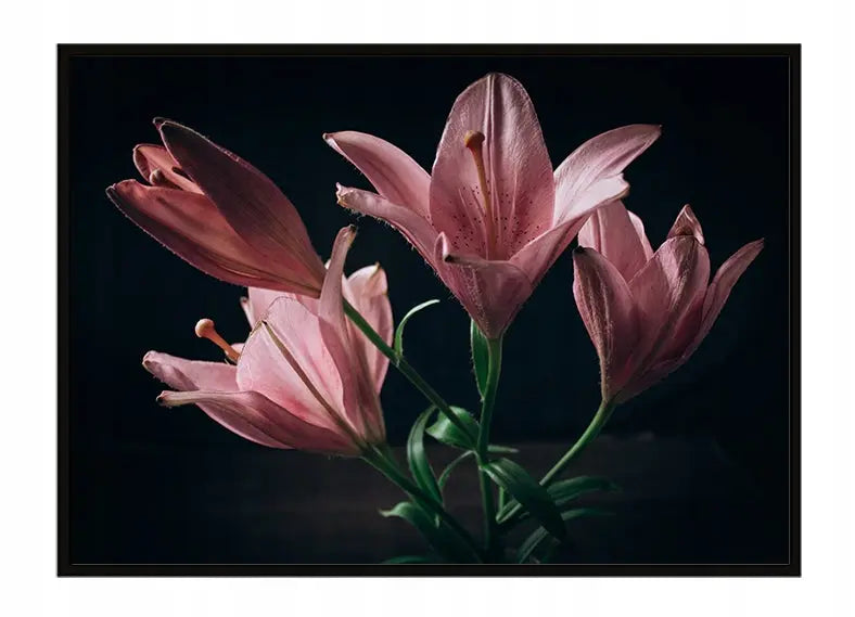 Plakat Kwiaty 53x73 cm  ForWalls.eu