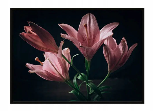 Plakat Kwiaty 53x73 cm  ForWalls.eu
