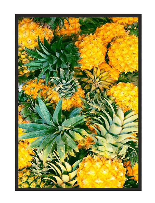 Plakat Ananasy 33x43 cm  ForWalls.eu