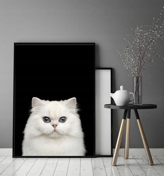 Plakat Kot 33x43 cm  ForWalls.eu