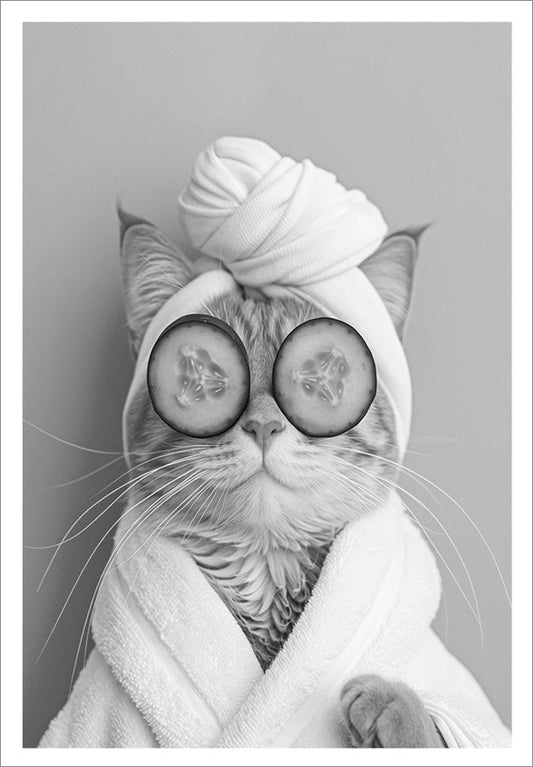 Plakat Kot Ogórki  ForWalls.eu