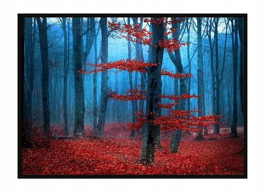 Plakat Las 53x73 cm - ForWalls.eu