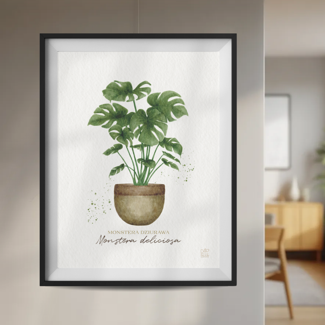 Plakat Monstera Deliciosa  ForWalls.eu