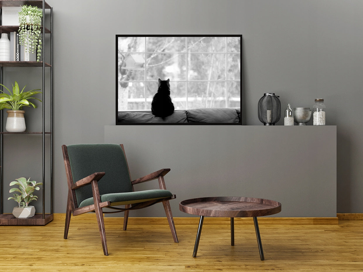 Plakat Kot 33x43 cm  ForWalls.eu