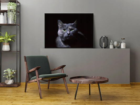 Plakat Kot 33x43 cm  ForWalls.eu