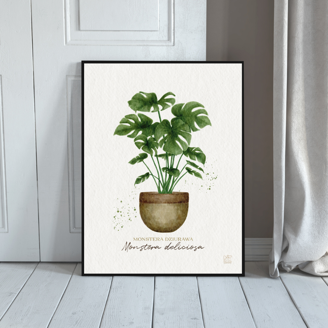 Plakat Monstera Deliciosa  ForWalls.eu