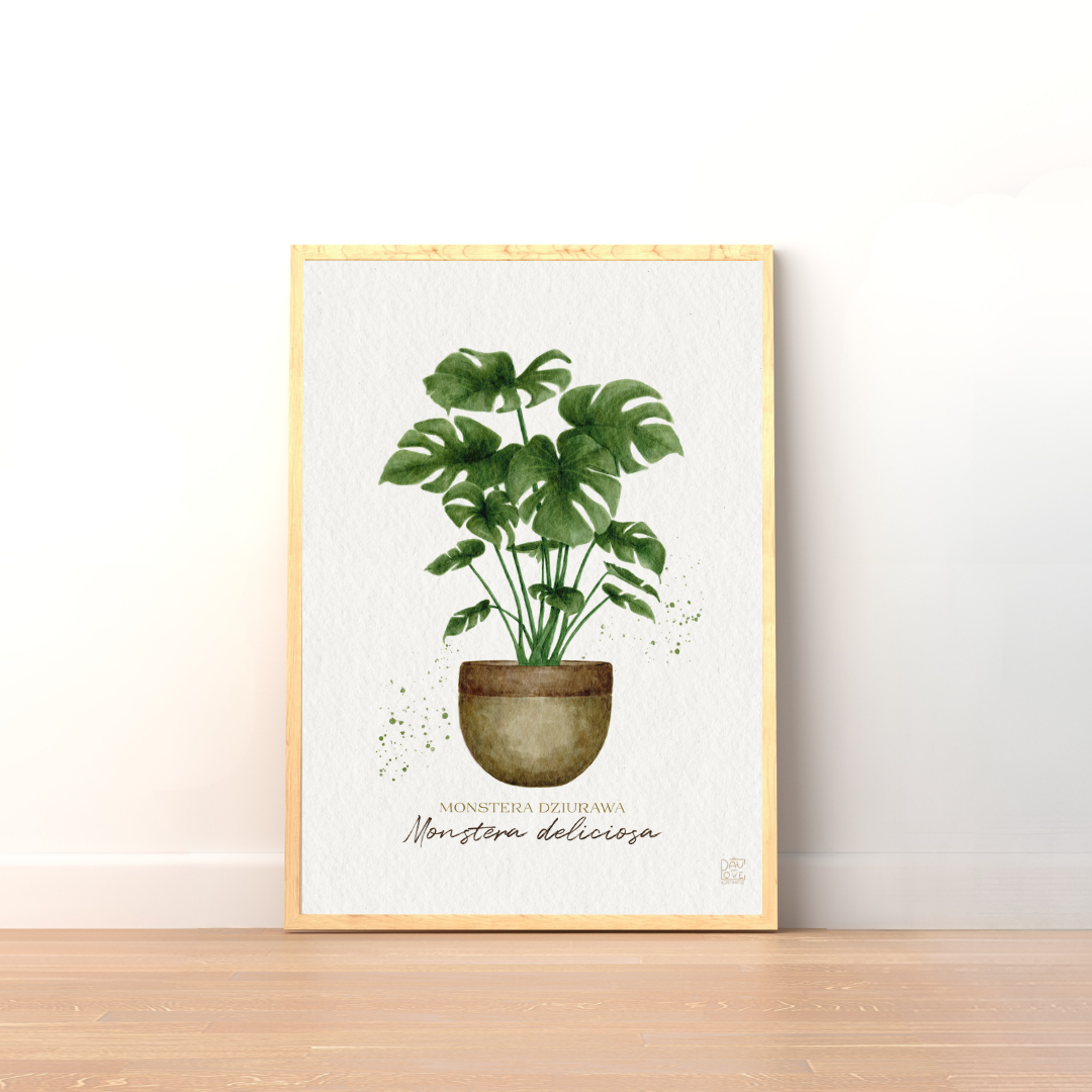 Plakat Monstera Deliciosa  ForWalls.eu