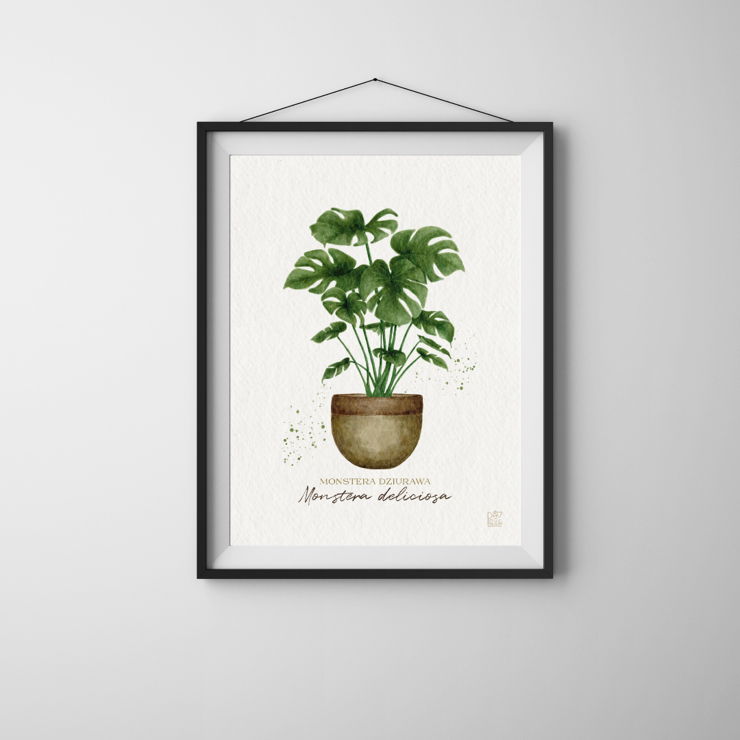 Plakat Monstera Deliciosa  ForWalls.eu