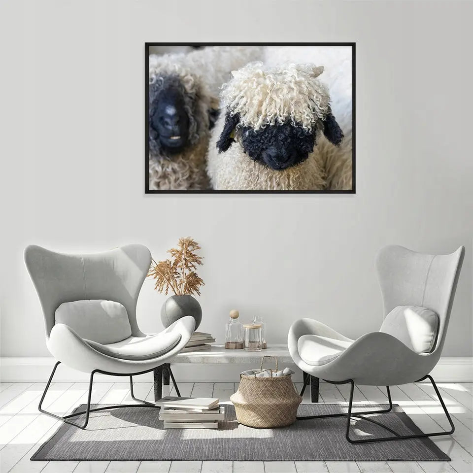 Plakat Owce 33x43 cm  ForWalls.eu