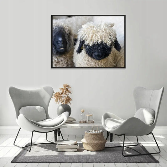 Plakat Owce 33x43 cm  ForWalls.eu