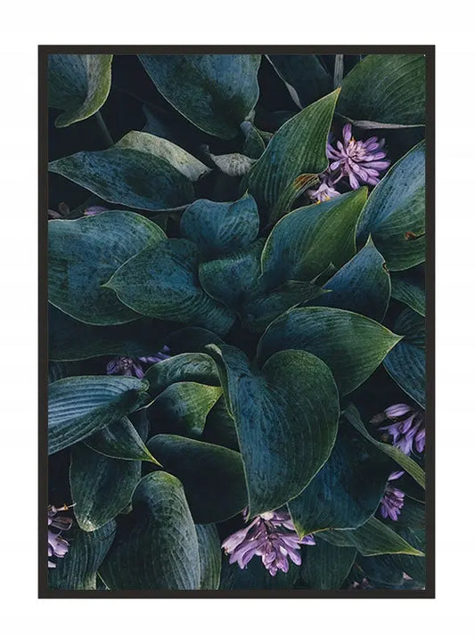 Plakat Liście 53x73 cm  ForWalls.eu