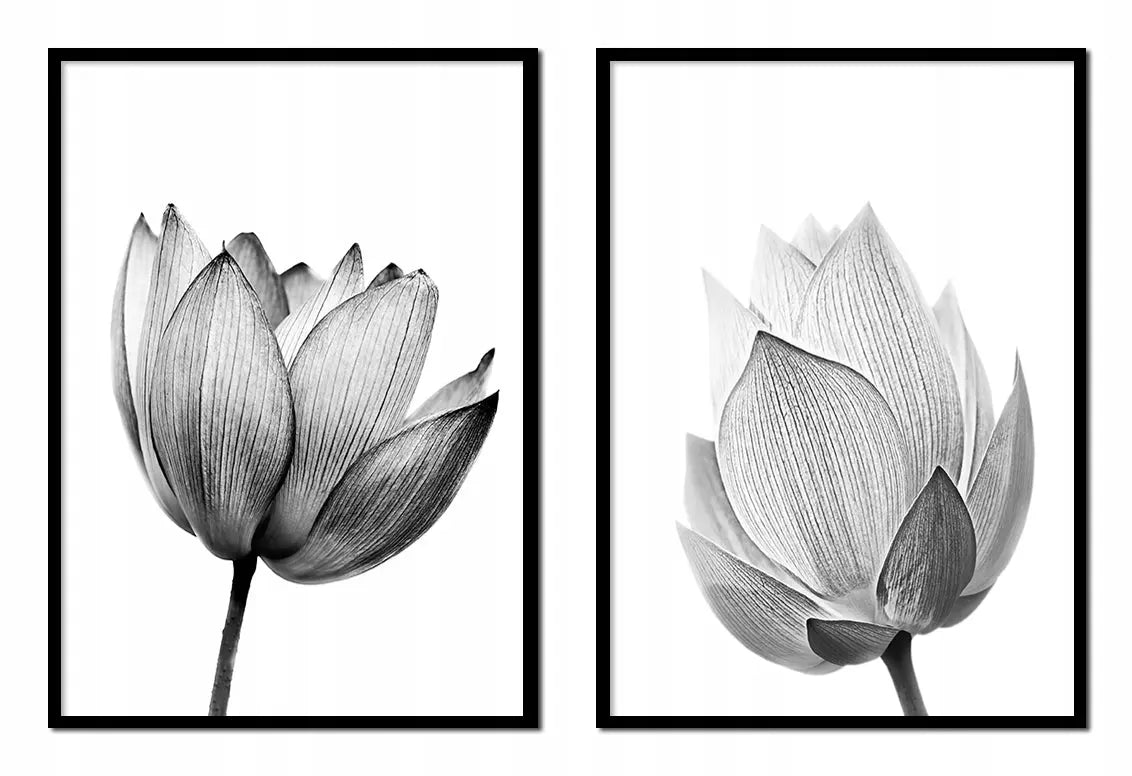 Plakaty Szkic Kwiaty Dyptyk 53x73cm - ForWalls.eu