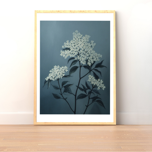 Plakat Białe Kwiaty Czarnego Bzu - ForWalls.eu