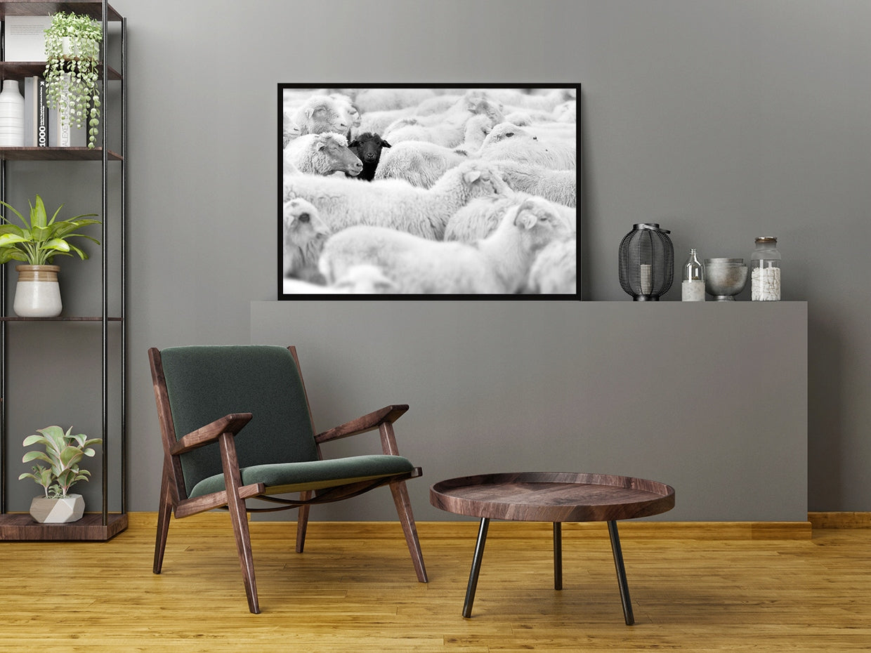 Plakat Owce 33x43 cm  ForWalls.eu