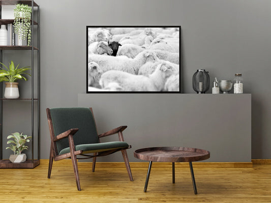 Plakat Owce 33x43 cm  ForWalls.eu