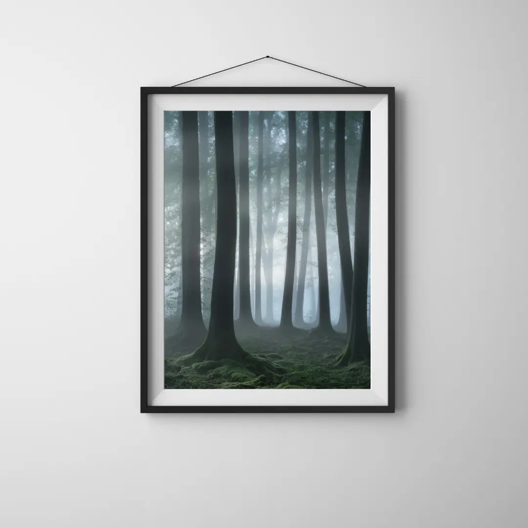 Plakat Las - ForWalls.eu