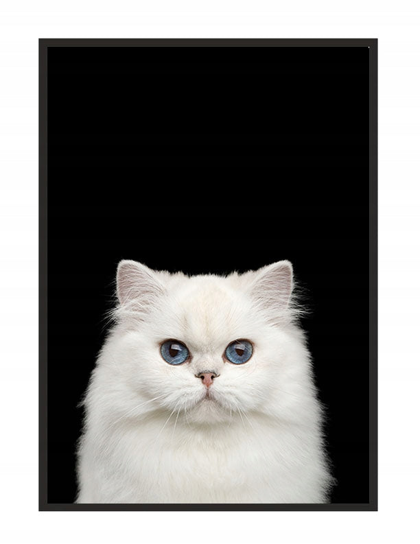 Plakat Kot 33x43 cm  ForWalls.eu