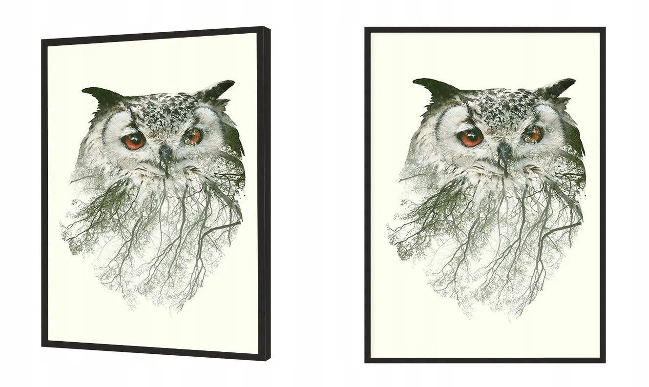 Plakat Sowa 33x43 cm - ForWalls.eu