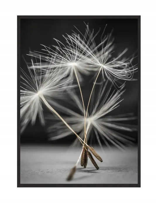 Plakat 53x73 cm Dmuchawiec 53x73 cm - ForWalls.eu