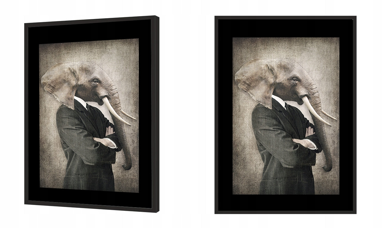 Plakat Słoń 33x43 cm  ForWalls.eu